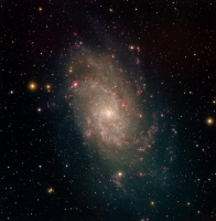 m33 opty