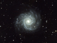 m74