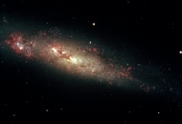 ngc55-1000